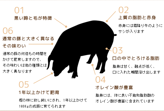 イベリコ豚の説明